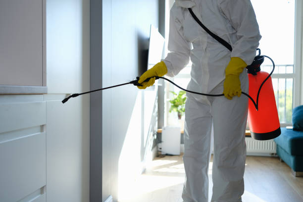 Best Real Estate Pest Inspections  in Porterdale, GA